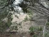 36021 Cedar Ridge Drive - Photo 20