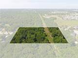 11517 Oak Tree Road - Photo 1