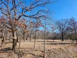 259 Comanche Trail - Photo 3