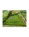 TBD Lot 2 Fm-2737 Road - Photo 6