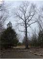 1070 Kerry Lane - Photo 14