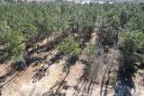 TBD-C County Road 3198 - Photo 4