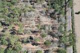 TBD-C County Road 3198 - Photo 7