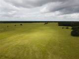 67 ac County Rd 1033 - Photo 10