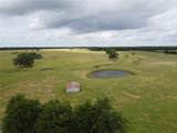 67 ac County Rd 1033 - Photo 5