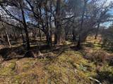 TBD County Road 2480 - Photo 6