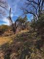 TBD County Road 2480 - Photo 7
