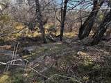 TBD County Road 2480 - Photo 8