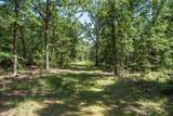 TBD Pvt. Rd 8079 Road - Photo 37