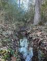 1029 An County Road 185 - Photo 22