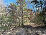 Lot 165 Stonewall Drive - Photo 5