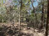 Lot 165 Stonewall Drive - Photo 6