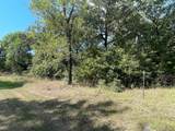 Lot 166 Stonewall Drive - Photo 4