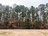 0 Carrier Avenue - Photo 2