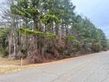 0 Carrier Avenue - Photo 3