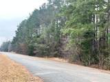 0 Carrier Avenue - Photo 5