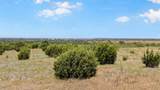 12550 Cresson Hwy 171 - Photo 10