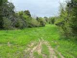 Tract 4 Fm 2194 - Photo 11