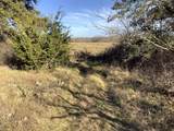 5 acres TBD Highway 6 - Photo 13