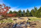 10349 State Highway 205 - Photo 39