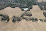TBD County Road 435 - Photo 13