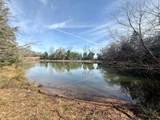 TBD County Road 435 - Photo 15