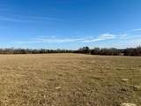 TBD County Road 435 - Photo 16