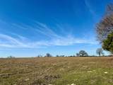 TBD County Road 435 - Photo 17