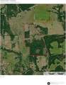 TBD County Road 435 - Photo 23