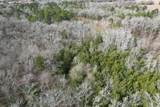 TBD County Road 435 - Photo 4