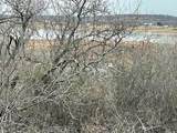 8425 County Road 313 - Photo 4