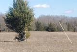 TBD  Tract #2 County Road 2045 - Photo 3