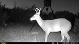 16185 Tx-55 - Photo 10