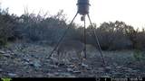 16185 Tx-55 - Photo 11