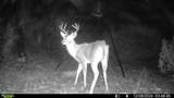 16185 Tx-55 - Photo 12