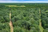 TBD (16 Acres) Vz County Road 1804 - Photo 14