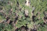 TBD-D County Road 3198 - Photo 10