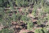 TBD-D County Road 3198 - Photo 11