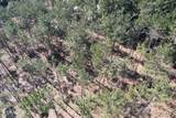 TBD-D County Road 3198 - Photo 13