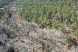 TBD-D County Road 3198 - Photo 6