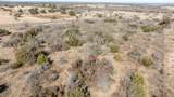 TBD Buffalo Ridge Drive - Photo 14