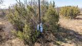 TBD Buffalo Ridge Drive - Photo 18