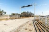 TBD Buffalo Ridge Drive - Photo 29