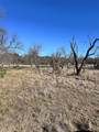 TBD Lot 957 Lakes Drive - Photo 19
