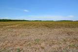 9109 County Road 101A - Photo 3