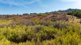 Lot 265 Canyon Wren Loop - Photo 21