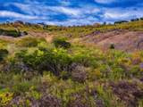 Lot 265 Canyon Wren Loop - Photo 23