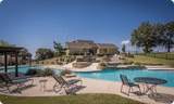 42124 Crooked Stick Drive - Photo 4