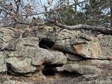 H28R Stagecoach Trail - Photo 13