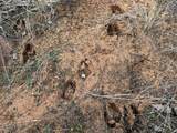 H28R Stagecoach Trail - Photo 2
